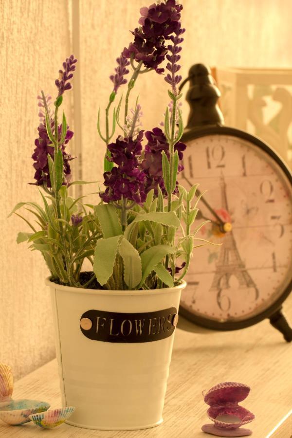 נסבר Апартамент Fleur מראה חיצוני תמונה